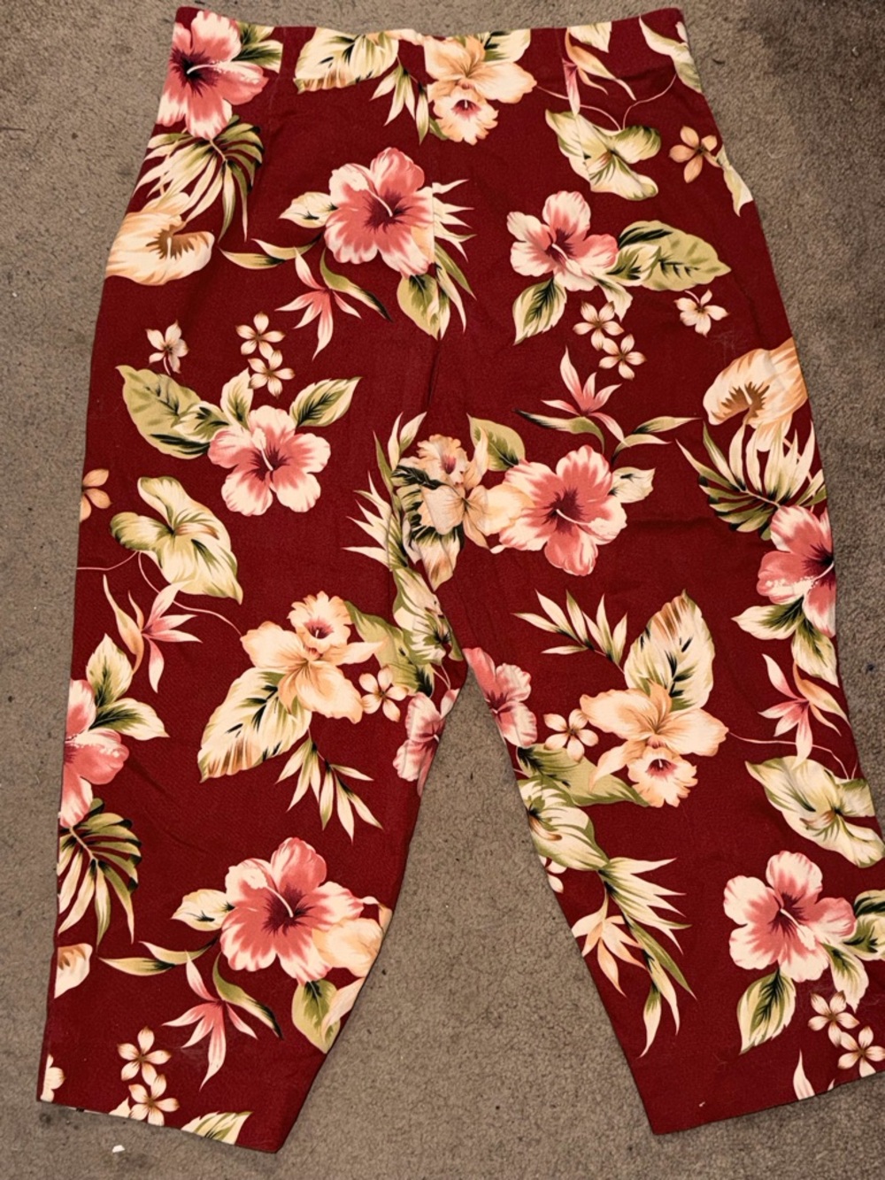 Briggs New York Burgundy Floral Capris